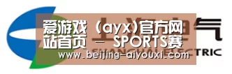 上汽电器